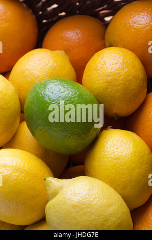 Angled overhead close up of citrus fruits selection, filling a wicker basket. Oranges and lemons topped with a single lime. Stock Photo