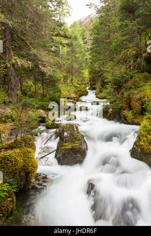 Waterfall Virgin Creek Falls Girdwood Anchorage Alaska USA Stock Waterfall Virgin Creek Falls Girdwood Anchorage Alaska USA Stock
