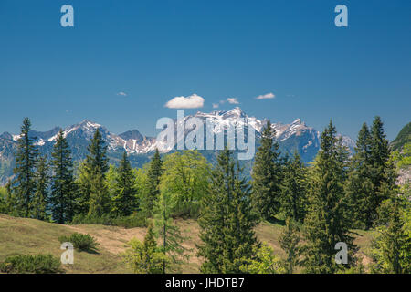 Heimmoseralm, Hinterwildalpen, Wildalpen, Alps, Styria, Austria Stock Photo