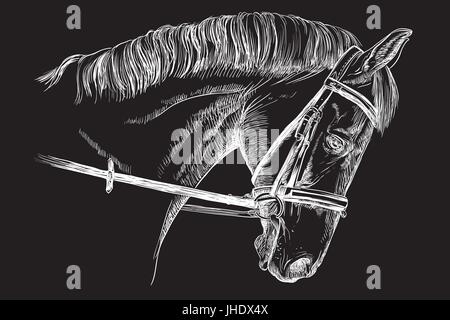 Isolated horse head with bridle in white color vector hand drawing illustration on black background Stock Vector