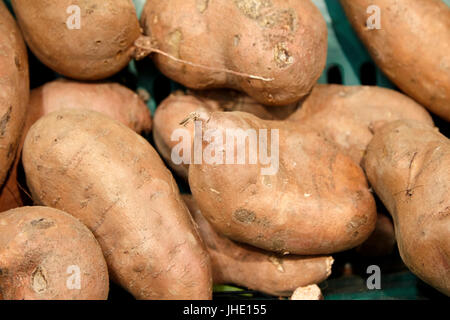 fresh sweet potatoes Stock Photo
