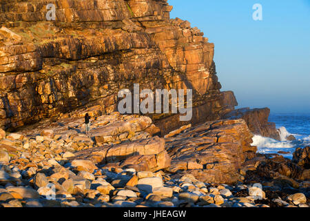 Cape of Good Hope in sunset, South Africa, Western Cape, Cape of Good Hope National Park Stock Photo