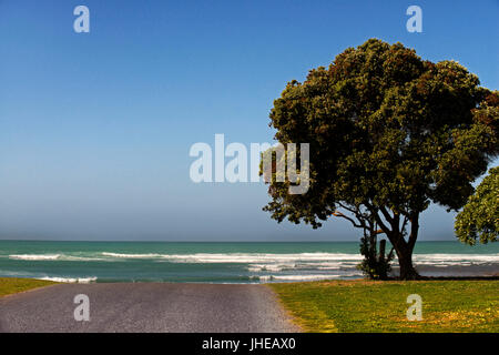 Road without end, end of the way, Cape Agulhas, Western Cape, South Africa Stock Photo