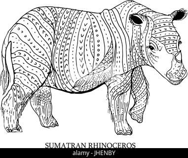 sumatran rhinoceros drawing