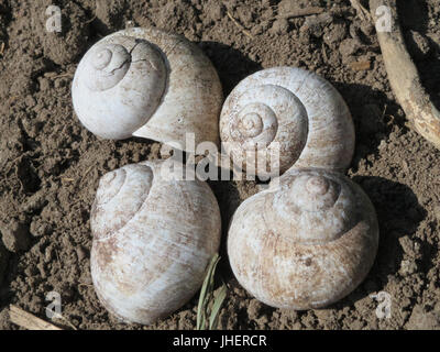 20150422Helix Stock Photo