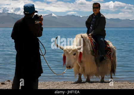 Tourists and yaks in Nam Tso Lake (Nam Co) in Nyainqentanglha mountains, Tibet. Stock Photo