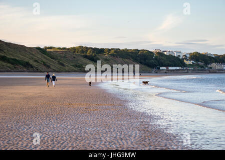 Couple walking their dogs on the beach at Filey, North Yorkshire, England. Stock Photo