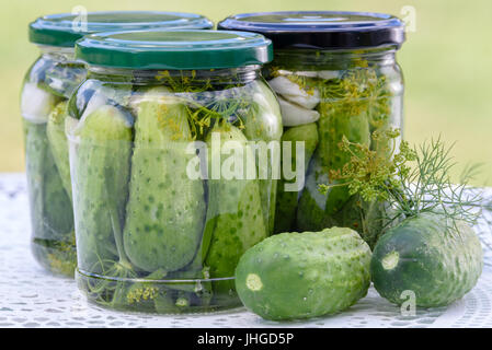 The concept of homemade preserves - jars of pickled cucumbers on a table next to raw green ground cucumbers and dill. Stock Photo