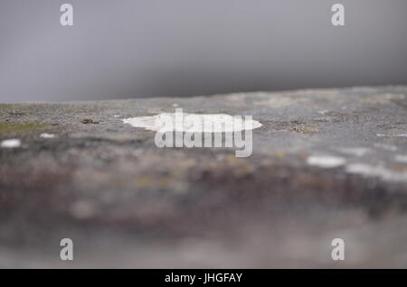 White worn patch in grey stone Stock Photo