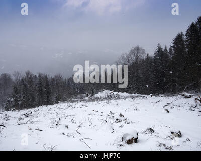 Snowfall in Beskids Mountains, near Piwniczna-Zdroj. Poland. Stock Photo