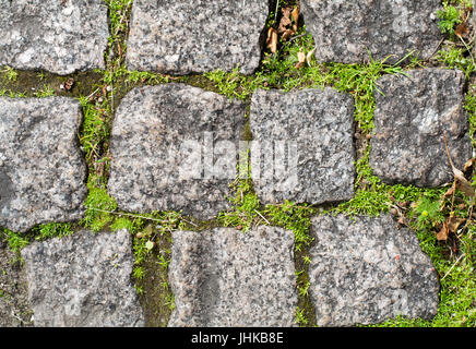 stone bricks with grass and moss Stock Photo