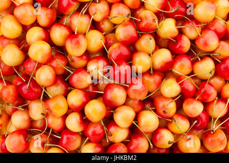 red yellow cherry texture tile pattern Stock Photo