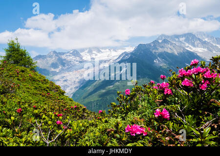View of Mont Blanc from the Aiguilles Rouges, Chamonix, France Stock Photo