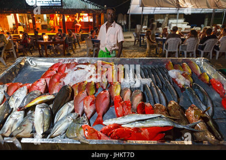 MIRISSA, SRI LANKA, MARCH 16, 2016: restaurants on the beach offer a wide variety of fish, you only need to point at fish you want to eat Stock Photo