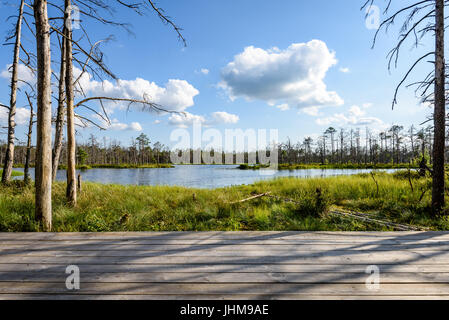 White clouds on the blue sky over forest lake with reflections Stock Photo
