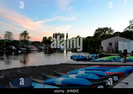 Wareham, Dorset, UK. 14th July, 2017. Arne nature, reserve. Poole harbour and Wareham on a warm and sunny evening. Credit: Ajit Wick/Alamy Live News Stock Photo