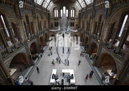 Some of the first members of public to enter the Hintze Hall at the Natural History Museum, London, where the new exhibit of a blue whale skeleton named 'Hope' is on display. Stock Photo