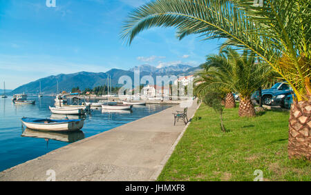 waterfront promenade with palm trees and boats in Tivat, Montenegro Stock Photo