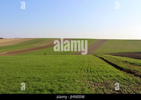 Having a look at the endless fields on a sunny day  ackerbauagraragrarwesenagrarwirtschaftlandwirtschafthintergruendehintergrundhintergrundeschreibtis Stock Photo