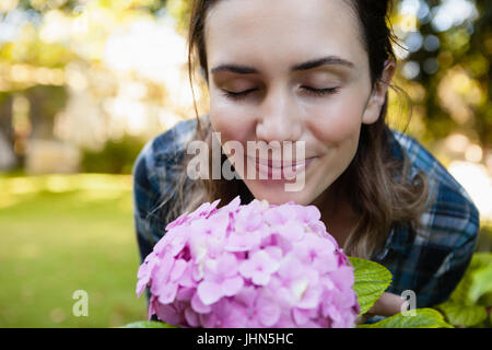 Close-up of woman with eyes closed smelling purple hydrangea flowers at backyard Stock Photo