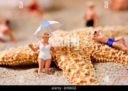 some different miniature people wearing swimsuit relaxing next to a starfish on the sand of the beach Stock Photo