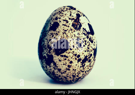 quail egg on isolated background. tinted photo Stock Photo