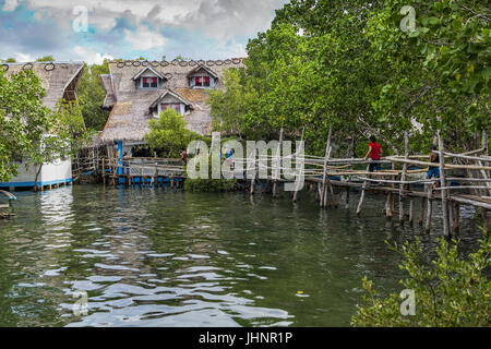 Footbridge across open water in a mangrove forest leads to a traditional thatch-roofed Filipino home. Stock Photo