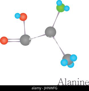 Alanine 3D molecule chemical science Stock Vector