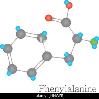 Phenylalanine 3D molecule chemical science Stock Vector