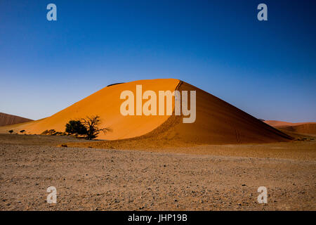 Dune 45 in Sossusvlei, Namibia Stock Photo