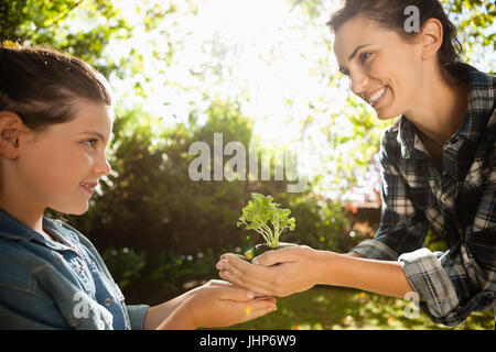Smiling mother giving seedling to daughter at backyard on sunny day Stock Photo