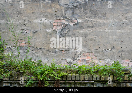 vintage wall background -  peeling plaster and overgrown brick stone wall Stock Photo