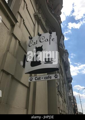 Cat Cafe Stock Photo