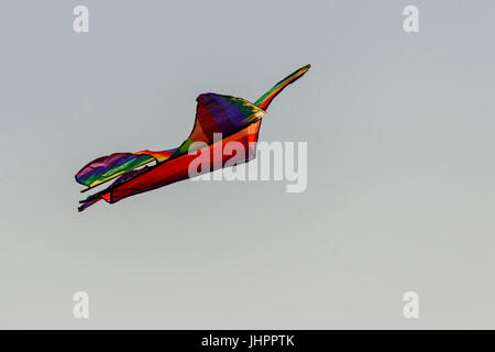 Multi-colored kite on sunset sky Stock Photo