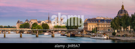 Summer view on Ile de la Cité with the Pont des Art and the Institut de France (French Academy) at dusk. Paris, France Stock Photo