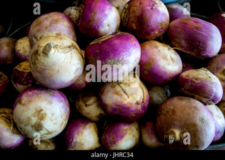 Fresh, colorful turnips at the farmers market. Stock Photo