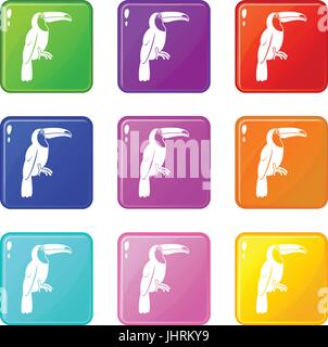 Brazilian toucan icons 9 set Stock Vector