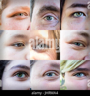 The first nine eyeballs I could get to hold still with a lens practically resting on their pupil. Stock Photo