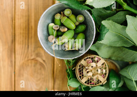 environment, nature, countrylife concept - flat-lay of little bowl with fresh green acorns, leaves of rose bushes and small cardboard gift box with pi Stock Photo