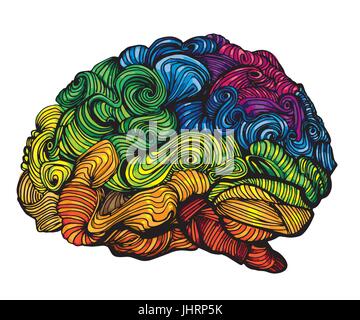 Brain Idea illustration. Doodle vector concept about human brain. Creative illustration with colored brain and grey matter Stock Vector
