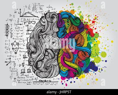 Left and right human brain. Creative half and logic half of human mind. Vector illustration. Stock Vector