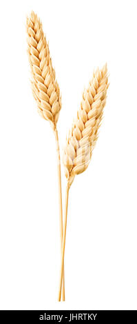 Isolated wheat. Two wheat ears isolated on white with clipping path Stock Photo