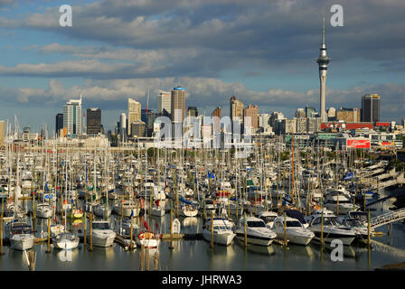 Sail boats in the harbour of Auckland, Segelboote im Hafen von Auckland Stock Photo