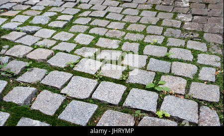 cobblestone brick road grass Stock Photo