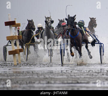 Cuxhaven, Germany. 16th July, 2017. Horses can be seen running on the tidal flats along the beach of Duhnen in Cuxhaven, Germany, 16 July 2017. The traditional tidal flat race in Duhnen is a tourist attraction at the North Sea Coast. The horses vie for victory and financial rewards along the tidal flats along the coast. Photo: Ingo Wagner/dpa/Alamy Live News Stock Photo