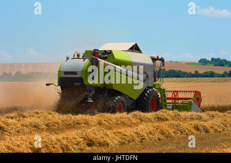 Combine harvester harvest ripe wheat on a farm Stock Photo