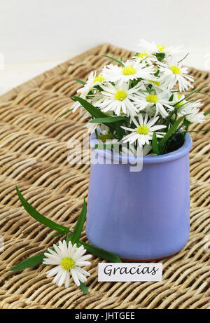 Gracias (thank you in Spanish) card with chamomile flowers in blue vase on wicker surface Stock Photo