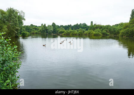 Brandon Marsh Nature Centre - Netmums