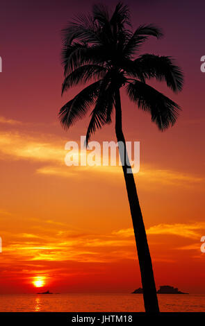 Palm tree silhouette at sunset, Chang island, Thailand Stock Photo