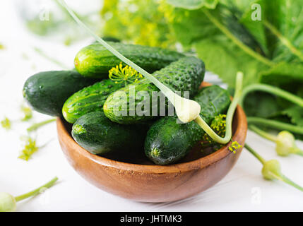 Preparation pickled marinated cucumbers, herbs and salt. Stock Photo
